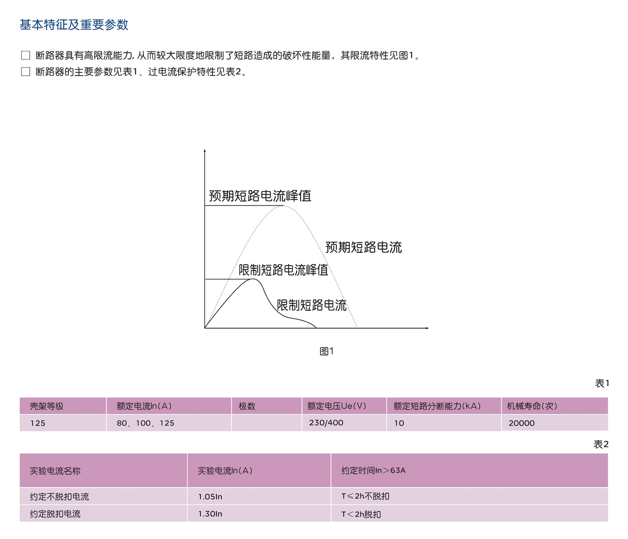 人民電器RDB5-125H系列小型斷路器 